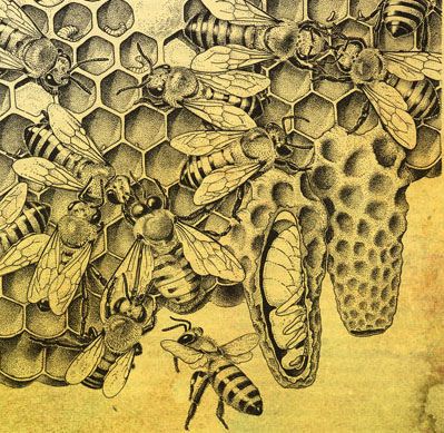 2f942197caa037db33e412f31f1b9794