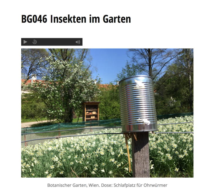 Bildschirmfoto 2019-06-05 um 10.30.16