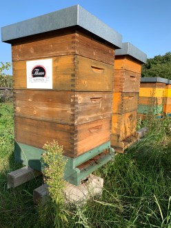 Auhonig-Thum_Bienenstand-2